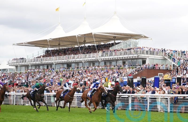 Commanche Falls claims historic Stewards&rsquo; Cup repeat