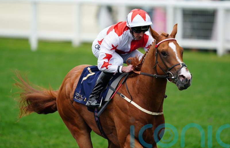 Doncaster next possible port of call for Holloway Boy