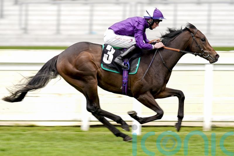 Loughnane backing Bears to rise to Phoenix challenge