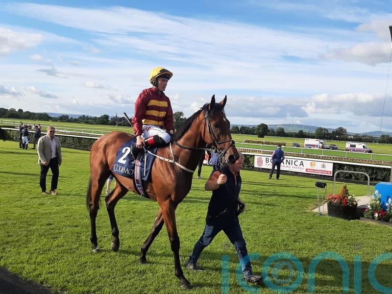 Well-regarded Hellsing back on the winning trail at Tipperary