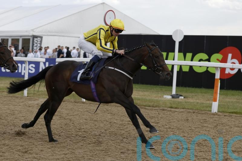 Unbeaten Clearpoint heading for Gimcrack at York