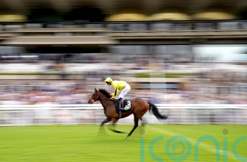 Cox sets sights on Flying Five with Caturra