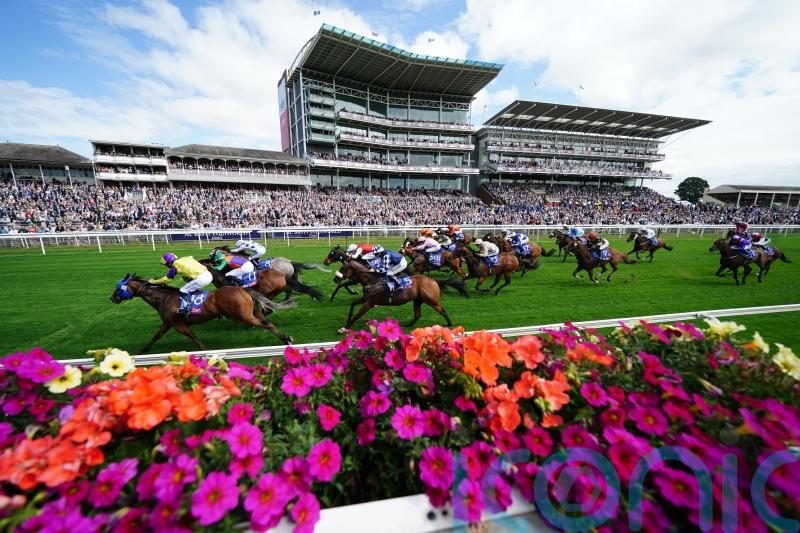 Bergerac on the case for York supporters