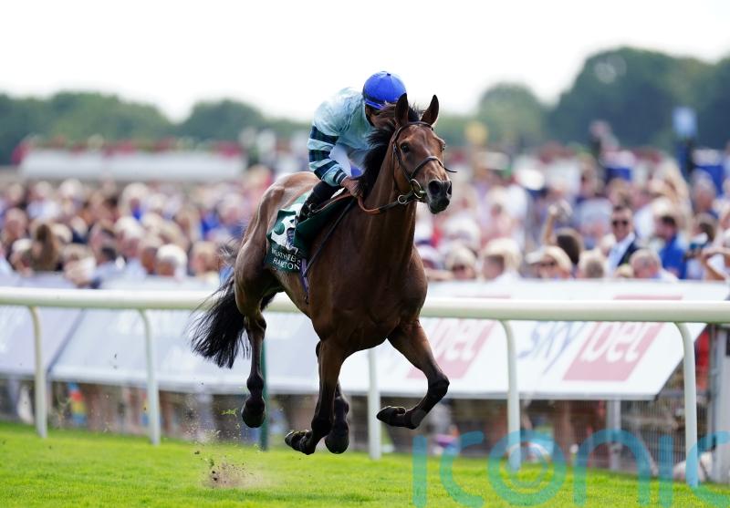 Quickthorn looks a star in absolutely routing Lonsdale Cup rivals