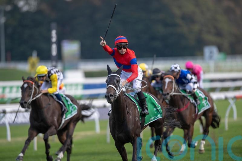 No panic from connections of Verry Elleegant despite Romanet reverse