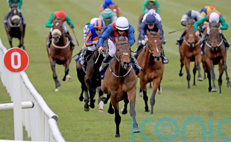 Glory Daze sold to continue his career in Australia