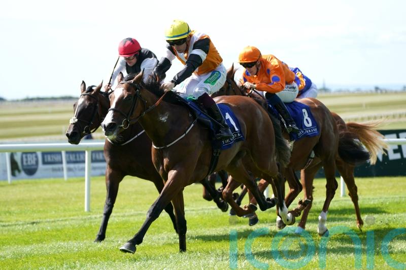 Aspen Grove records 66-1 surprise at the Curragh