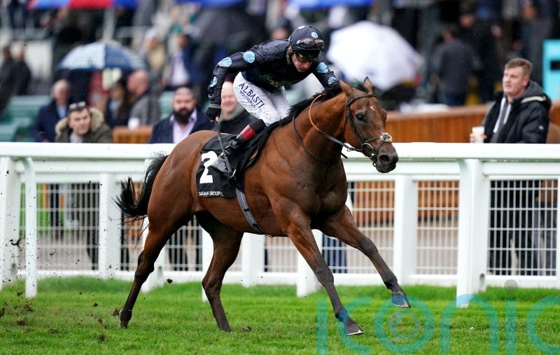 Cox so proud of Beverley Bullet hero Tis Marvellous