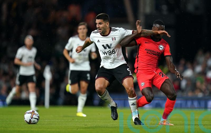 Aleksandar Mitrovic was unbelievable &ndash; Marco Silva hails star striker