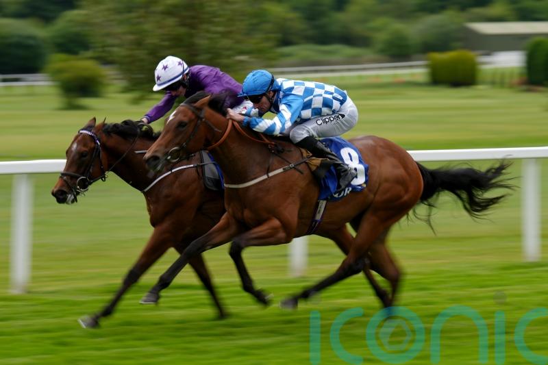 O&rsquo;Meara banking on &lsquo;sharper&rsquo; Maria Branwell at Salisbury