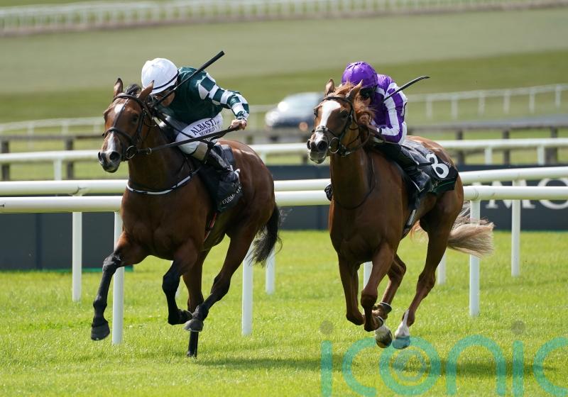 Harrington waiting on Magical Lagoon plans