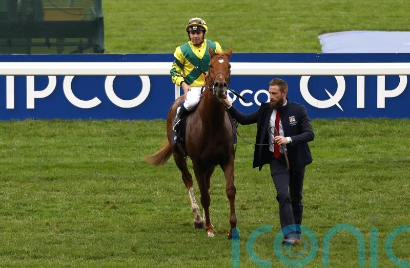 No Leopardstown appearance for Sealiway