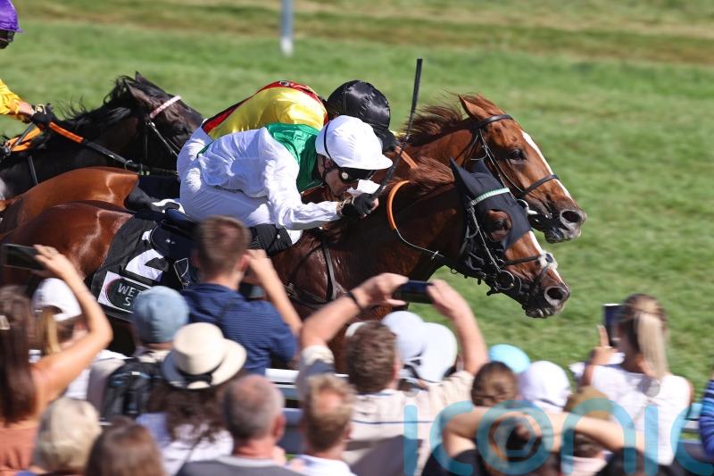 Piechulek dreaming of another Arc &ndash; this time with Mendocino