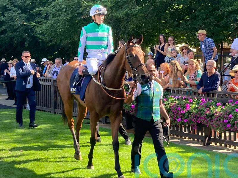 Syndicate have so much to look forward to with Lakota Sioux