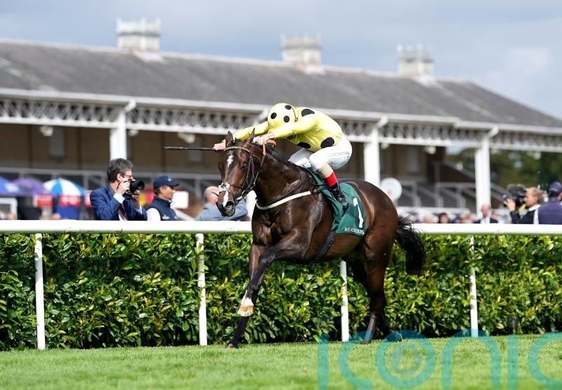 Cold Case solves big sales race puzzle at Doncaster