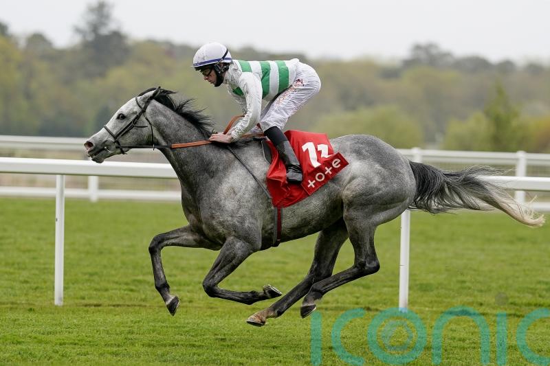 Albaflora primed for Prix Vermeille challenge