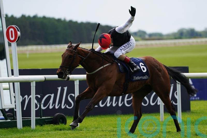 Homeless Songs &lsquo;in great order&rsquo; for Leopardstown showdown