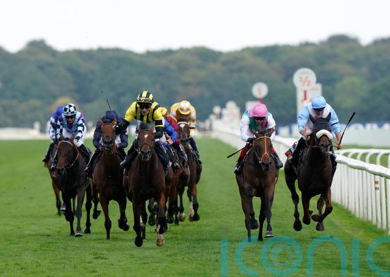 Connections thrilled with Haskoy run, and will appeal Leger demotion