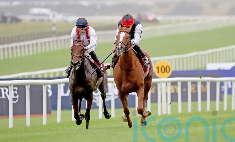 St Simon target for Irish Leger runner-up Hamish