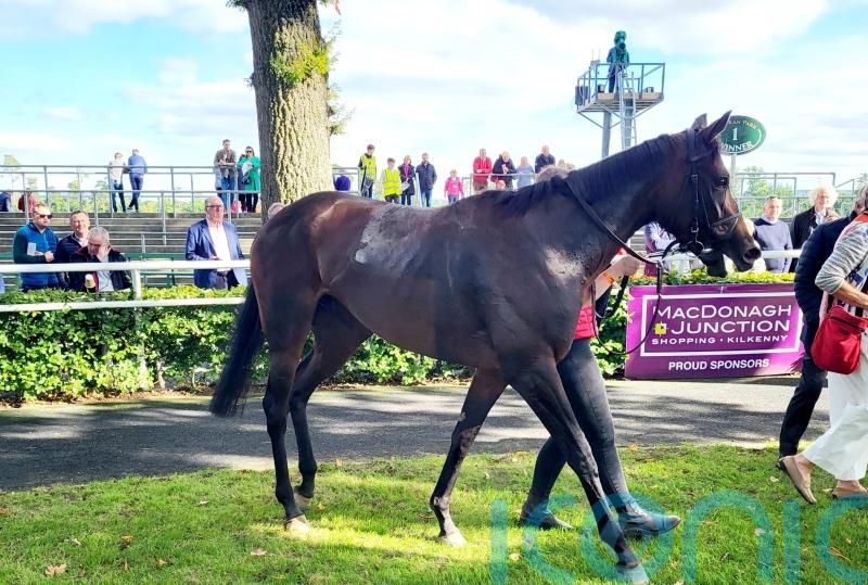 Paris Peacock continues on the upgrade at Gowran Park