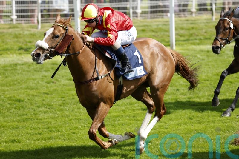 Ground key to plans for prolific Gale Force Maya