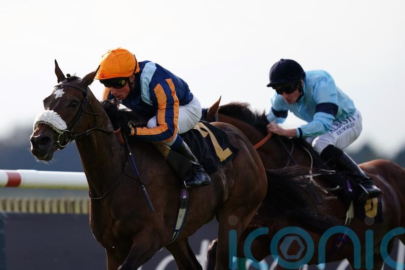 Nate The Great rules in Rose Bowl Stakes