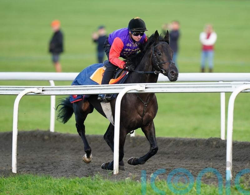 Educator to be landmark first runner for the King