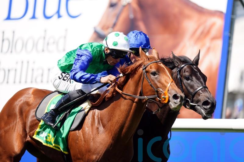 Meehan plotting Dewhurst date for Isaac Shelby