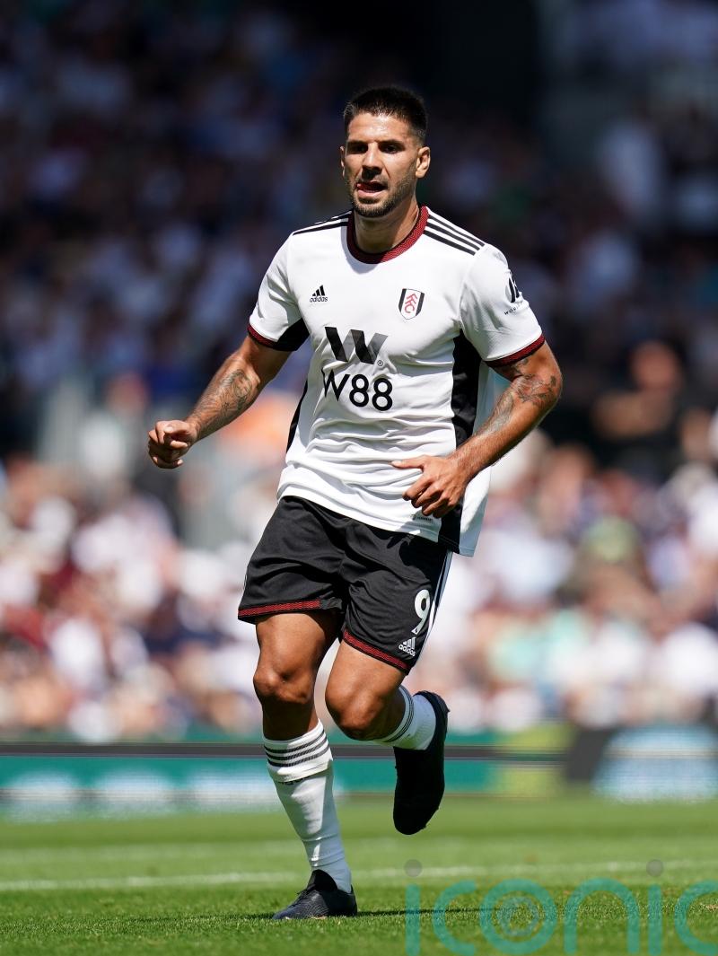 Fulham handed Aleksandar Mitrovic boost ahead of clash with Newcastle