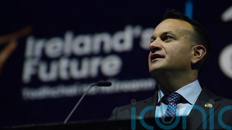 United Ireland will need support of convincing majorities, Tanaiste says