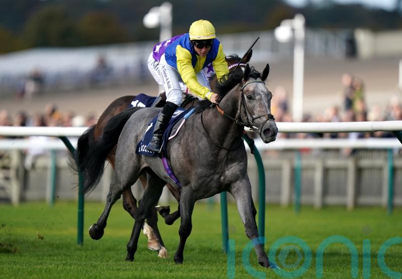 Amichi seals sales race double at Newmarket