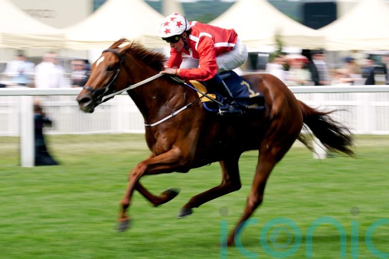 Dirty scope puts Saffron Beach Breeders&rsquo; Cup plan on hold