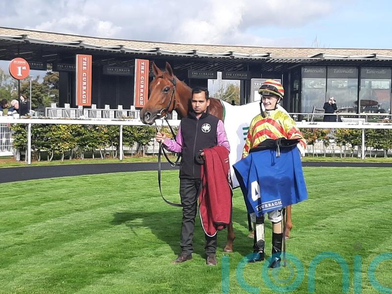 Sheehy shines on Lumiere Rock