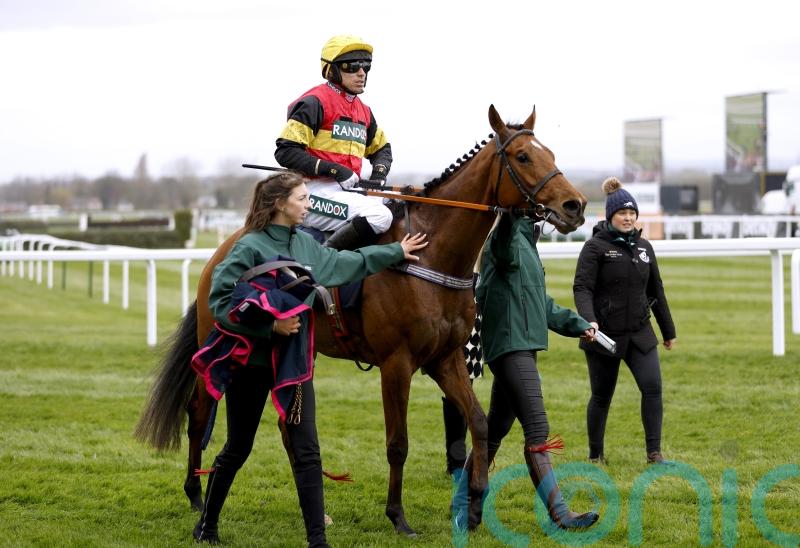 Knight Salute on course for Cheltenham return on Saturday week