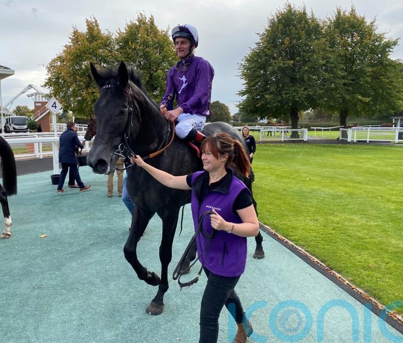 King Of Steel makes towering debut at Nottingham