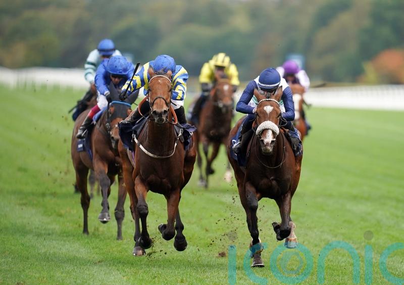 Trueshan battles to Long Distance Cup hat-trick