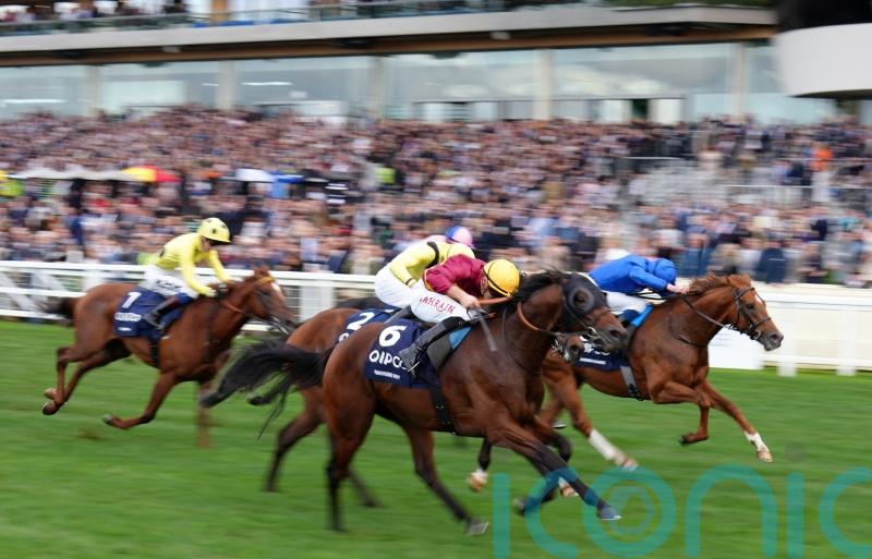 Bayside Boy springs Queen Elizabeth II Stakes surprise