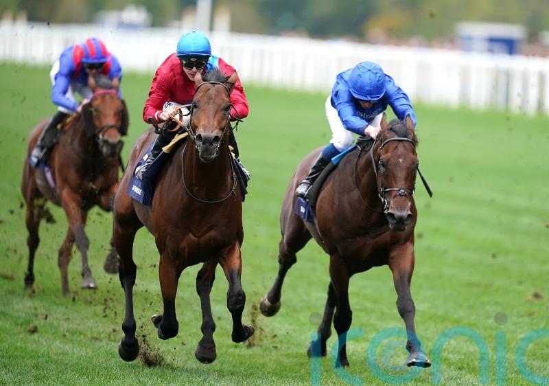 Baaeed beaten in Champion Stakes, as Bay Bridge strikes for Stoute and Kingscote