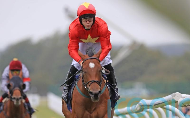 Breeders&rsquo; Cup would put icing on top of landmark season for John Quinn