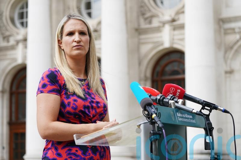 For too long we have accepted &lsquo;stark&rsquo; domestic violence figures &ndash; McEntee