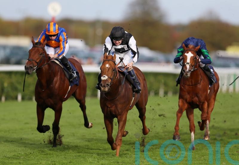 Legend Of Xanadu delivers in Doncaster Stakes