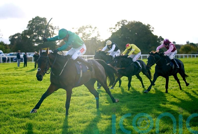 Wetherby specialist Good Boy Bobby looks set to miss Charlie Hall