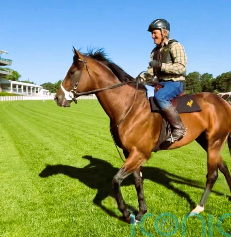 Ward sights set on Breeders&rsquo; Cup hat-trick for Golden Pal