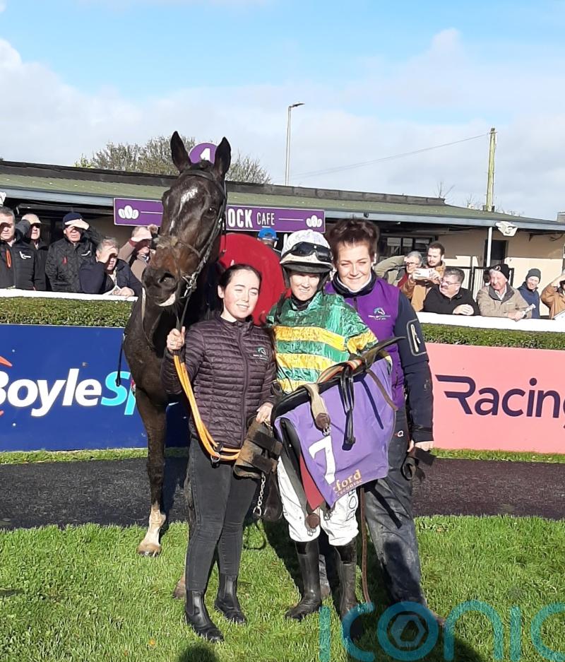 Inthepocket takes the eye in Wexford victory