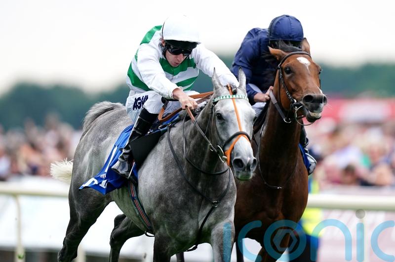 Alpinista still training towards Japan Cup swansong