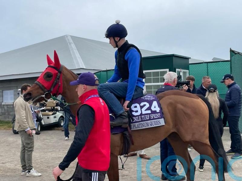 Middleham Park savouring &lsquo;chance of a lifetime&rsquo; with The Platinum Queen