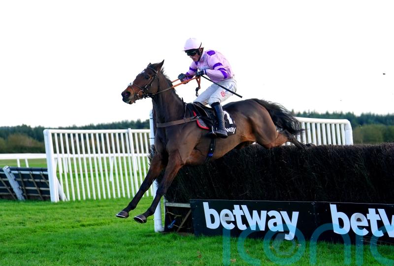 More glory for Greaneteen in Haldon Gold Cup