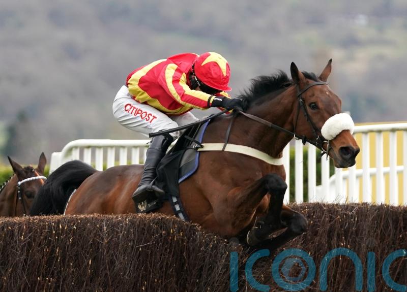 No place like home &ndash; Coole Cody heading back to Cheltenham