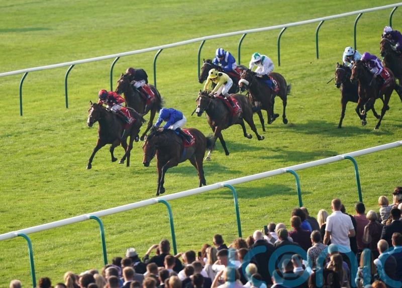 Harris taking Knight Salute route with potentially smart Scriptwriter