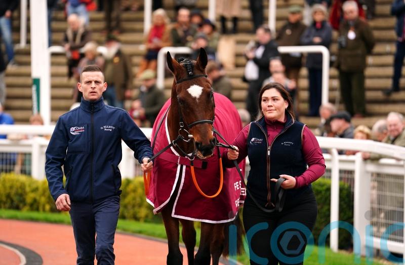 Hall of Fame inductee Tiger Roll enjoys lap of honour at Cheltenham